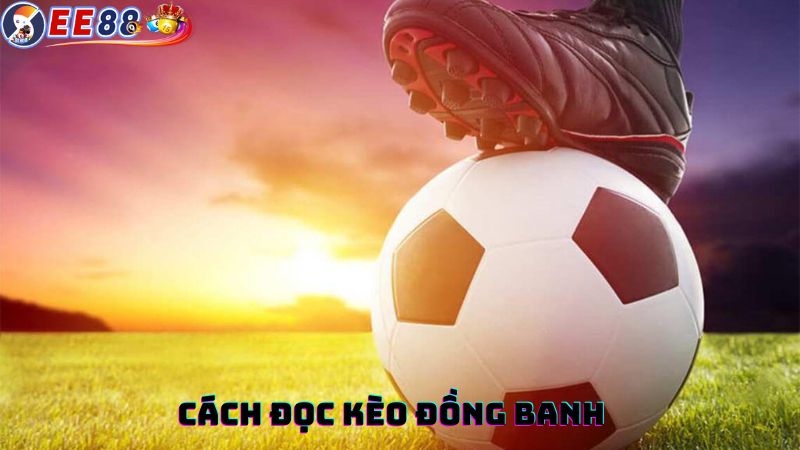 Cách đọc kèo đồng banh