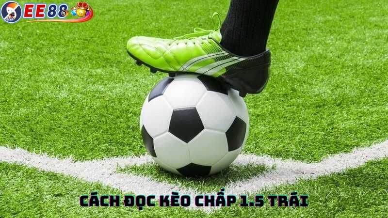 Cách đọc kèo chấp 1.5 trái