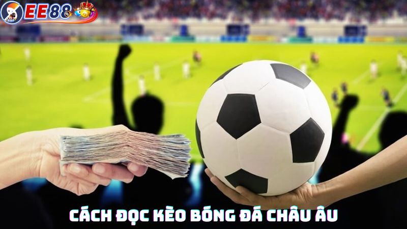 Cách đọc kèo bóng đá châu Âu