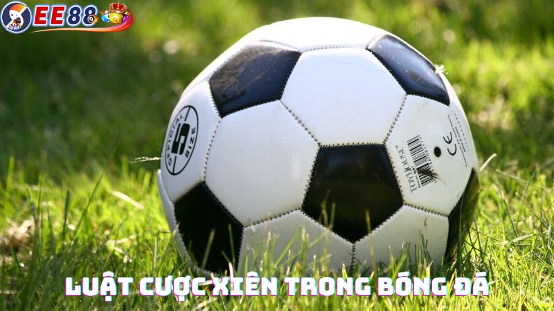 Luật cược xiên trong bóng đá