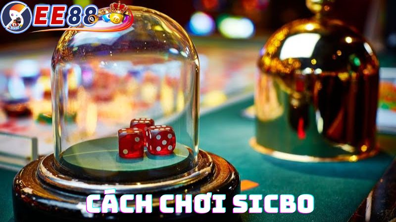 Hướng dẫn cách chơi Sicbo